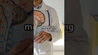 10 Shocking Facts About Your Brain You Never Knew