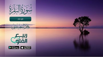 ايه الكرسي بصوت ماهر المعيقلي من سورة البَقَرَة الآية 255 | القارئ ماهر المعيقلي
