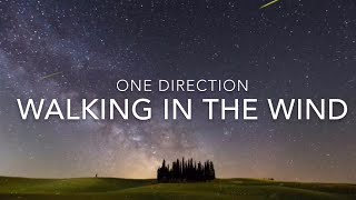 Walking In The Wind (Lyrics) - One Direction