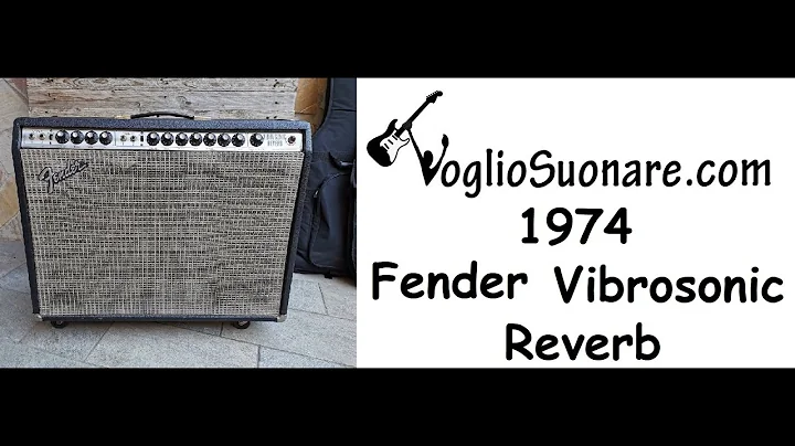 1974 Fender Vibrosonic Reverb Silverface Vintage Cerwin Vega 15"