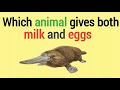Which animal gives both milk and eggs | Gk Question | Question & Answer in english |