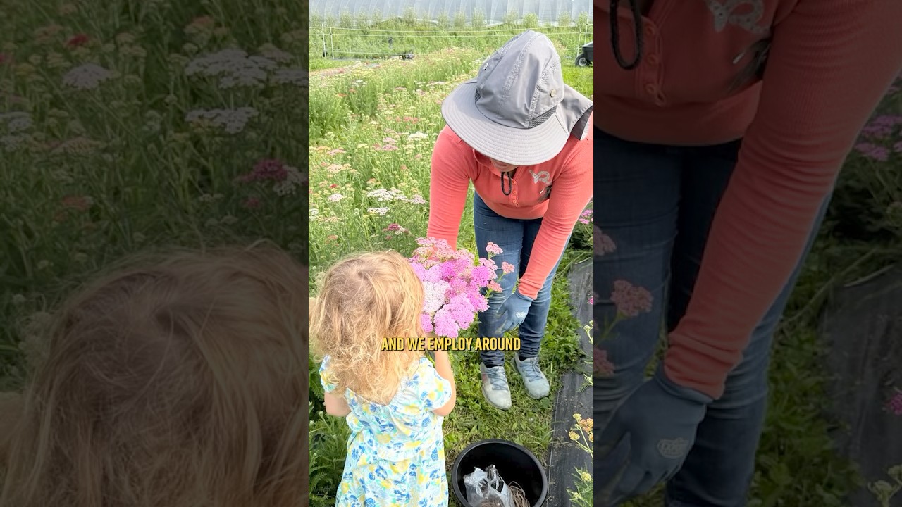 Фермеры Нью-Джерси ощущают на себе последствия хаотичной политики Трампа.