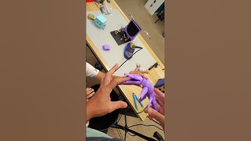 Liopleurodon By desusame printables.com/model/930326-flexi-liopleurodon-print-in-place