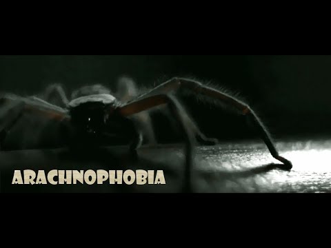 Video: Je! Ni Nini Arachnophobia