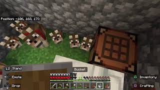 Minecraft survival