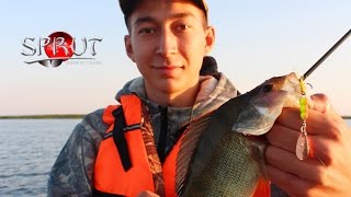 Ловля щуки и окуня на вертушки (вращающиеся блёсна) SPRUT Hochi и Oruto. Kamfish Ловля щуки и окуня на вертушки (вращающиеся блёсна) SPRUT Hochi и Oruto. Kamfish