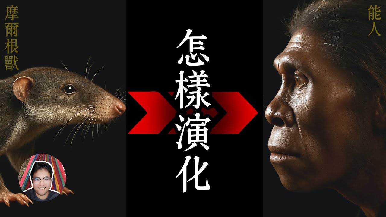 【最早的人類是怎樣演化出来的】——我們從恐龍時代的摩爾根獸開始講起，内容涉及各個時期有代表性的物種（如普爾加托獸、坎迪烏斯、原康修爾猿、地猿等）、及物種分化背景（如哺乳动物、灵长类、简鼻类、猿类等）