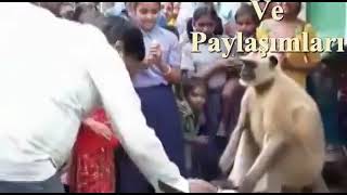 Kürtçe Dublaj Xude Hış Akıl Bıdeweda  Eski Hesabımız Kapandı Lütfen Yenisini Takip Ediniz TEK GERÇEK