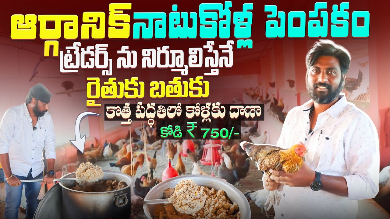 Organic sonali Chicken farming | కోళ్ల‌కు ఫీడ్‌ను వండి వ‌డ్డిస్తున్న రైతు