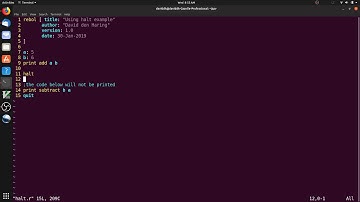 Rebol quick start video - the halt function