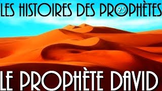 L'histoire du prophète Dawoud en islam - en Français - VF par Voix Offor Islam screenshot 5