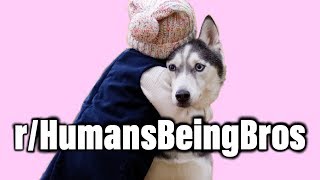 r/HumansBeingBros | Ep 114 | Just needed some cheering up