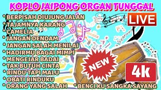 DANGDUT KOPLO ORIGINAL X DANGDUT KOPLO KENDANG BLEKUK JAIPONG AUDIO JERNIH BASS GLERRR TERBARU 2024🔊