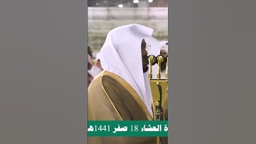 ياسر الدوسري 🌹✨ #عبدالرحمن_مسعد_تلاوة_جديدة #عبدالرحمن_مسعد