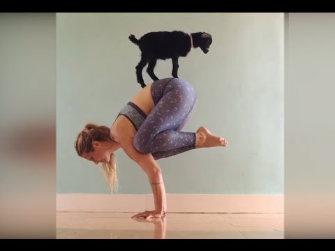 Yoga,yoga near me,corepower yoga,yoga poses,yoga pants,what is yoga for