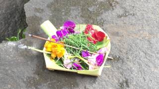 Bali -- Religious Offerings on this Gentle Island screenshot 3
