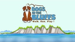 Dog Walker Scarborough. Professional Dog Walking Scarborough Bluffs.
