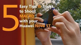 Huawei Nova 5T Macro Photography | Tips, Tricks & Basics Huawei Nova 5T Macro Photography | Tips, Tricks & Basics