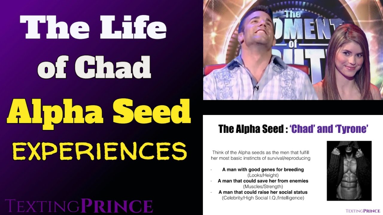 The Life of 'Alpha Seed' Chad or Tyrone