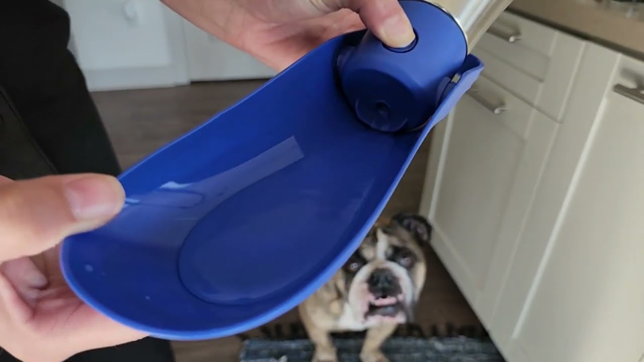 Dog Water Bottle, Portable Dog Water Bottle | Steel Leak Water Bottle Proof Water Bottle 