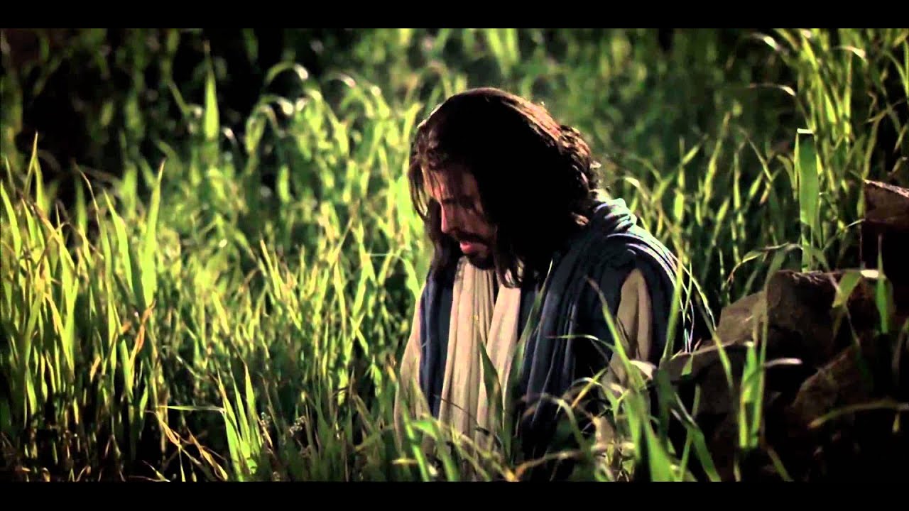 Beautiful Savior The Life of Jesus Christ YouTube