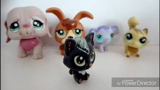 Uusien Petsien Esittely