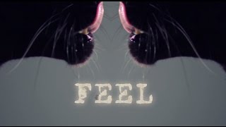 SATE - Feel (Official Video)