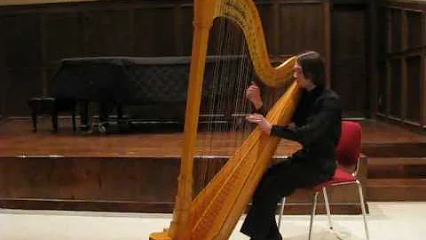 Baroque Flamenco: Stephen Overton, Harpist