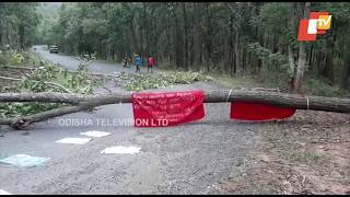 Maoists block Baliguda Daringbadi road on NH 59 in Kandhamal district seeking public support for Odi screenshot 4