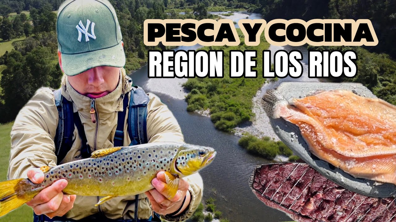 PESCA ULTRALIGHT - PESCA Y COCINA EN LA REGION DE LOS RIOS #fish #fishing #fyp