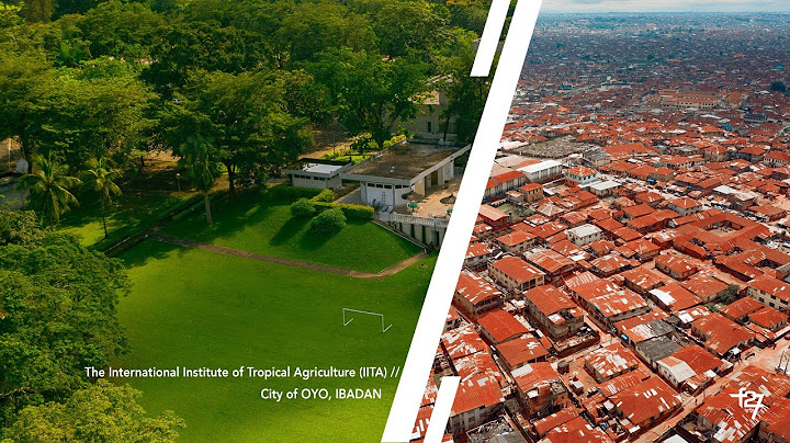 Exploring IITA Ibadan & The City