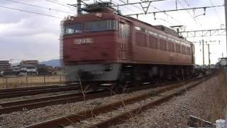 【貨物列車】 1152レ EF81