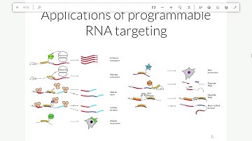 Genome Engineering Workshop 2019: Soumya Kannan, RNA-targeting with CRISPR
