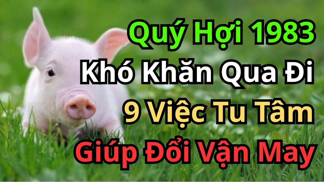 Tử Vi QÚY HỢI 1983 Năm 2026: Vận Hạn Đã Qua, Làm 9 Việc Này Để Đón Đại Lộc | Phong Thủy | Tử Vi
