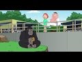 Гриффины прикол Подружил котенка с гориллой Family Guy joke