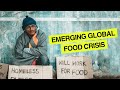 Emerging global food crisis a conversation on impending starvation and supply chain strain