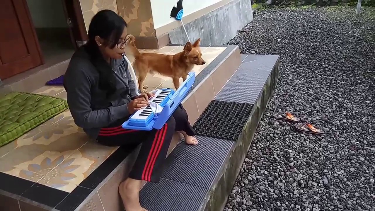 Anjing bernyanyi - YouTube