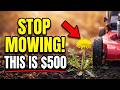 These 6 Weeds Might Be More Valuable Than Everything Else in Your Yard