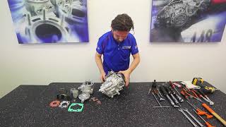 Vortex Rok Shifter disassembly
