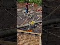 ¿Por qué esta bola es disparada a través de un tubo?#shorts