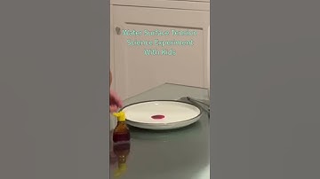 Water Surface Tension Science Experiment #sciencefun #scienceforkids #experimentforchildren #science