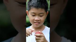 ЛІЧІ - китайська слива #фрукти #lychee #їжа