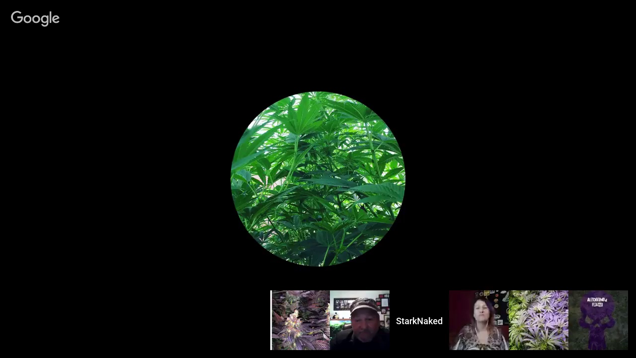 Dab & Gab episode 32 :New year, New Crew, New Show!