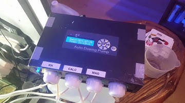 Jebao dp4 dosing pump calibration