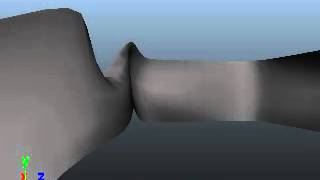 Celebrity ARCH670 Spatial and Temporal Sequence Profile