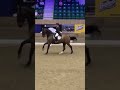 Becky Moody and Jagerbomb dancing around the NAF Five Star Arena #NAFWDC22