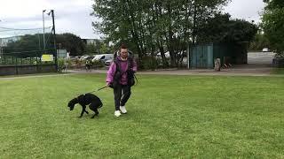 Distraction recalls with Ruby