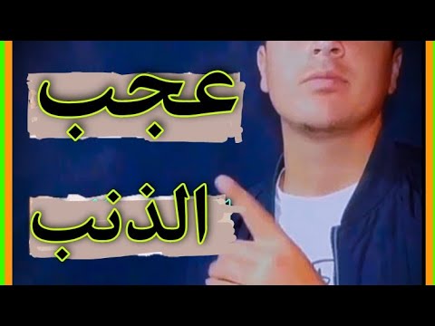 عجب الذنب العضو الوحيد الذي لايختفي بعد موت الإنسان محتوى معلومات معلومات عامة افادة