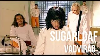 Sugarloaf - Vadvirág (HQ) official video chords