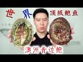 试吃330一斤的稀有澳洲青边鲍，顶级鲍鱼刺身，却吃出了寄生虫【小文哥吃吃吃】